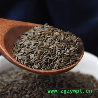 九盛堂 黑苣胜 黑生菜籽 莴苣籽 黑巨胜生菜子图3