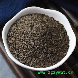 九盛堂 黑苣胜 黑生菜籽 莴苣籽 黑巨胜生菜子图2