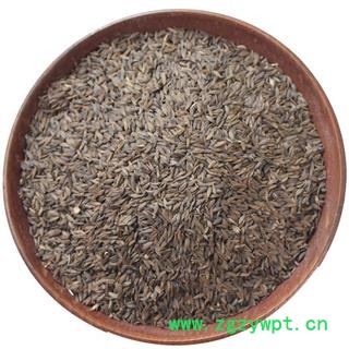 九盛堂 黑苣胜 黑生菜籽 莴苣籽 黑巨胜生菜子图4