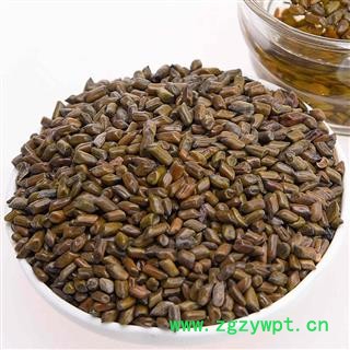 决明子茶泡茶炒决明子 草决明子图4