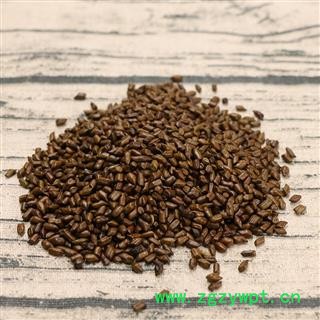 决明子茶泡茶炒决明子 草决明子图2