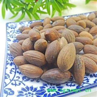 榧子 中药材 榧皇 香榧 玉山果 赤果玉榧 木榧子 匪子图3