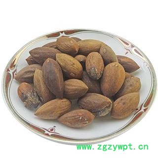 榧子 中药材 榧皇 香榧 玉山果 赤果玉榧 木榧子 匪子图4