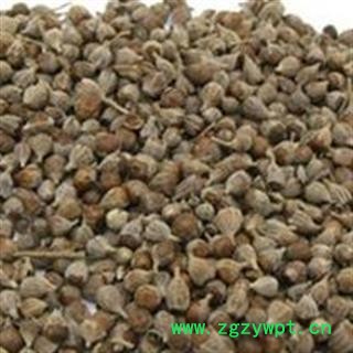 圣草康园黄荆子 黄金子 布荆子 牡荆子有带皮的有去皮图3