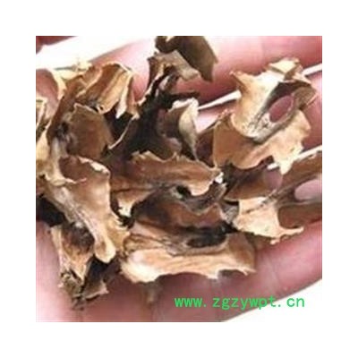 圣草康园 分心木 核桃夹 核桃隔 机器烘干 手选大片 无碎无杂 新货