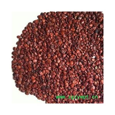 酸枣仁 精选 产地 海外