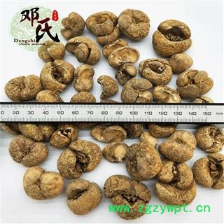 【满包邮】浙贝母 大贝 浙贝无硫统个子 优选品质 产地直供 邓氏中药批发图3