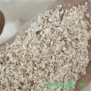 芡实 芡实米 产地 广东省图2