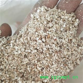 芡实 芡实米 产地 广东省图3