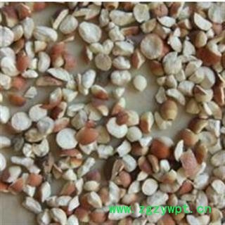 芡实 芡实对瓣一刀两瓣 产地 广东省图2