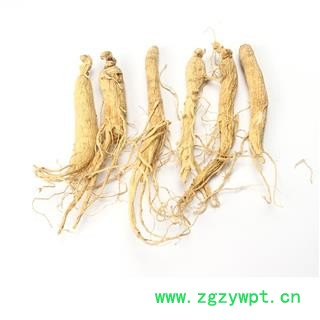 【满298元包邮】人参生晒参60支   500克1袋图2