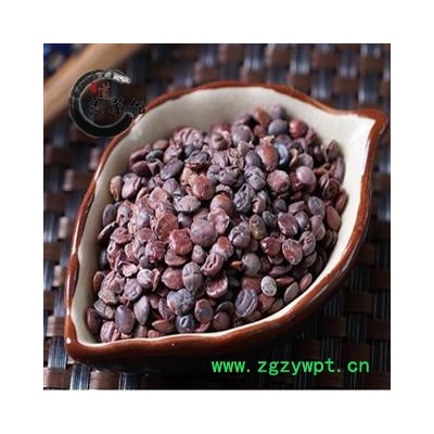 酸枣仁98货 山东产 药典标准 地道良药馆1000克直销