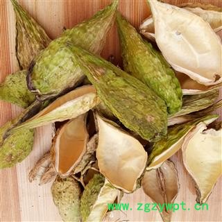 天浆壳选货天将壳，萝荚药典标准 江苏产1000克直销图3