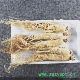 人参 生晒参人参25支 产地 吉林  500克一盒图3