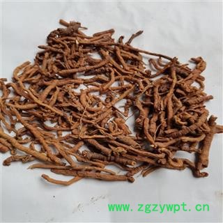 远志 甘草水统 产地 山西省晋城市图2