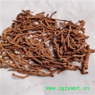 远志 甘草水统 产地 山西省晋城市图3