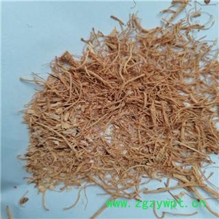 人参 毛须 产地 辽宁省抚顺市图2