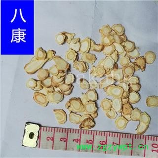 人参 1.0厘米片  统图2