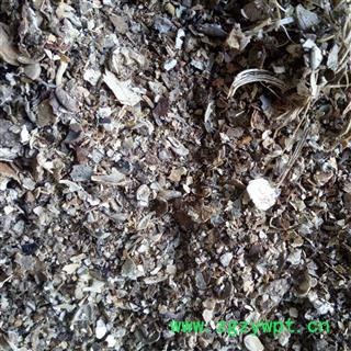 瓜蒌 碎料 产地 河南省平顶山市汝州市图3