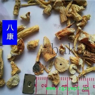 人参 碎段图3