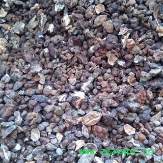 吉康药业益智仁 益智仁米去皮益智子 摘艼子图2