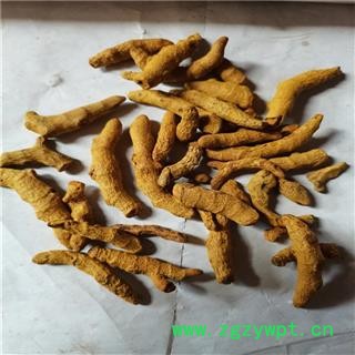 姜黄 个01 产地 广西壮族自治区北海市图3