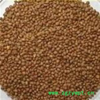 吉康药业 中药材莱菔子 新货  量大从优图2