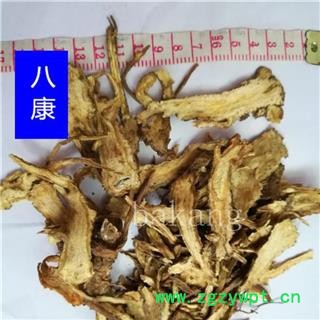 当归 全归01统图2