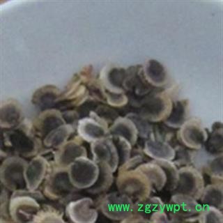 吉康药业 蜀葵子 蜀葵籽 蜀季花子 熟季花籽图2