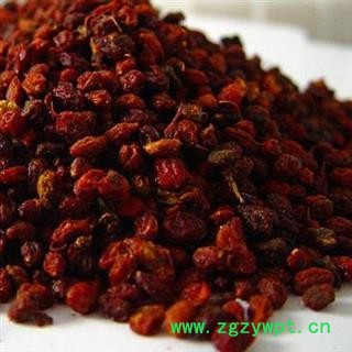 吉康药业新疆沙棘果干 沙棘手工挑选图2