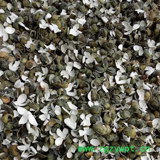 吉康药业  中药材  青皮 四花青皮图2