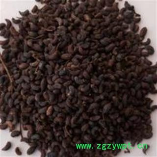 吉康药业女贞子水洗 纯月牙女贞子 干净 统 产地 河南省平顶山市宝丰县图2