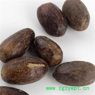 吉康药业香果 玉果 长香果调味品 长玉果图2