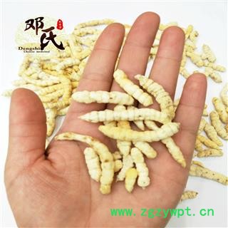 【满包邮】地蚕 白冬虫草 肺痨草 统货 优选品质 产地直供 邓氏中药批发图4