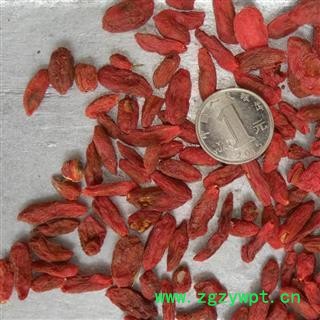 枸杞 一般统货 销售 宁夏枸杞440  不能茶用  颗粒分明 地 产地 宁夏回族自治区图2