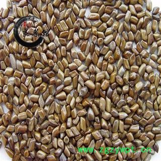 进口决明子选货  药典标准 地道 良药馆1000克直销图2