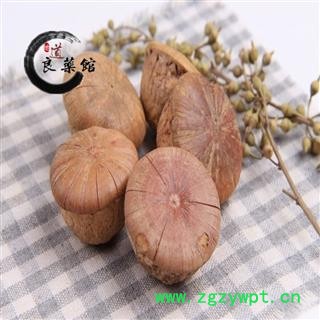 风流果选货 壮阳果 补肾过  龟头子 药典标准 地道良药馆1000克直销图3