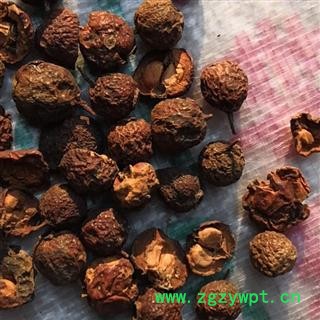 野山楂 选片 产地 河南省平顶山市汝州市图3