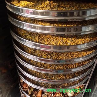 野山楂 选片 产地 河南省平顶山市汝州市图2