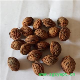 桃仁 野生山桃核 产地 河南省平顶山市汝州市图2