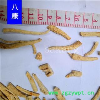 西洋参 细01段 统图3