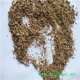 远志 碎肉 产地 河北省邯郸市图3