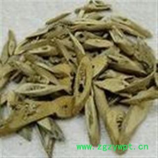 中药材 茄根 茄子根 白茄根 茄母图2