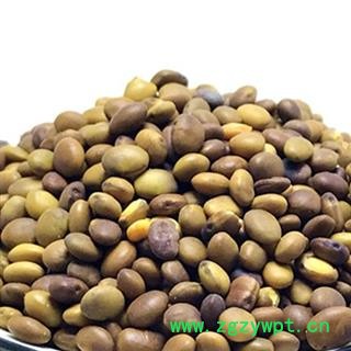 苦豆子 产地 内蒙古自治区 过色选颗粒饱满净货新货重在品质吉康药业图2