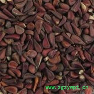 吉康药业木瓜籽 木瓜子 木瓜核图2