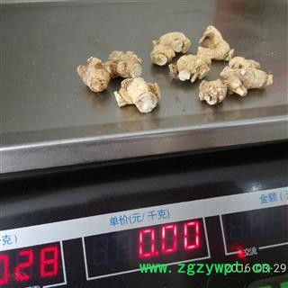 西洋参粒头约3克图3