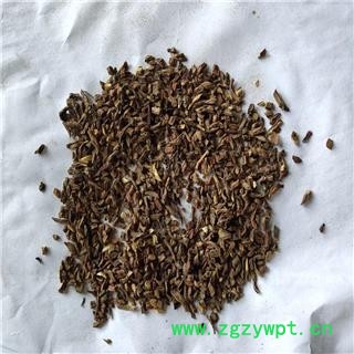 丹参 碎渣 产地 河北省图2