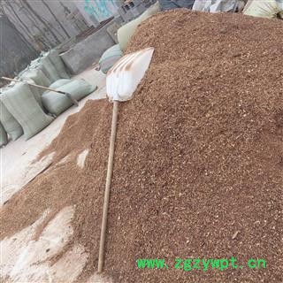 丹参 188  丹参尾子 尾子 产地 河北省图2