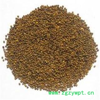 菟丝子水洗净货内蒙货产地直销保含量重在品质吉康药业图3