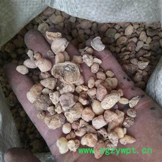 山慈菇 统货图3